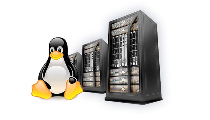 Manelsoft Linux Web Hosting